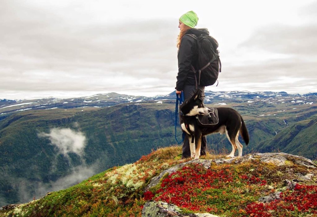 Aktiviteter I Norge