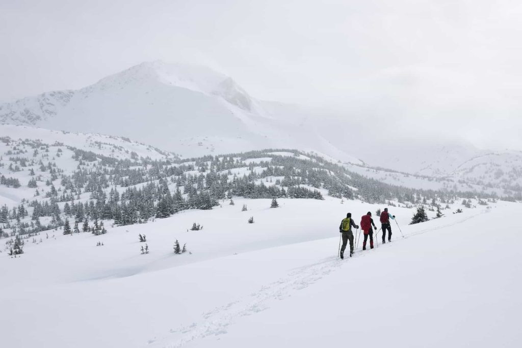 Norske skireiser til fjells