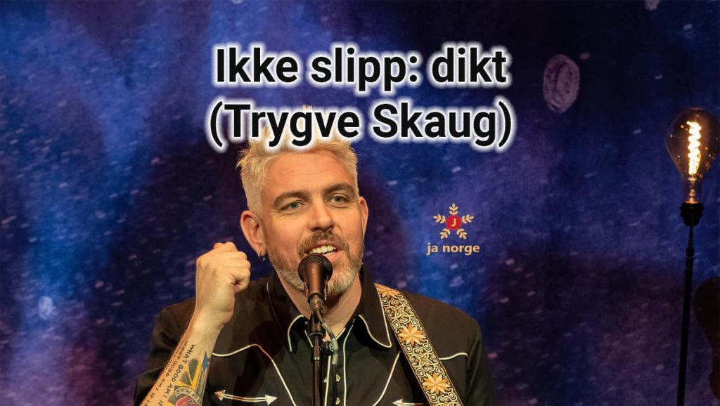 Ikke slipp dikt Bok av Trygve Skaug