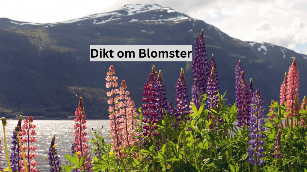 norske dikt om blomster norske dikt om blomster