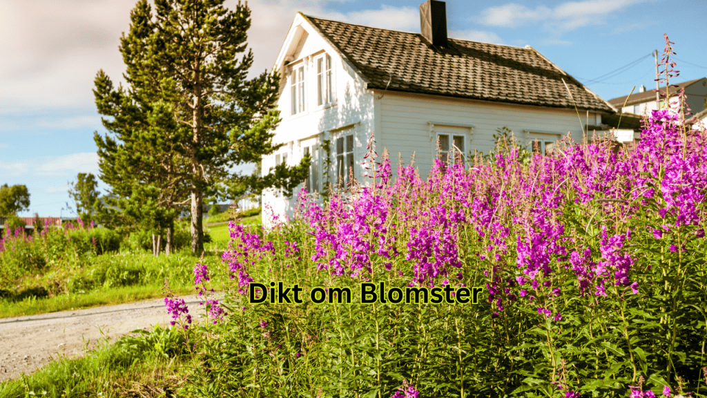dikt om blomster dikt om blomster