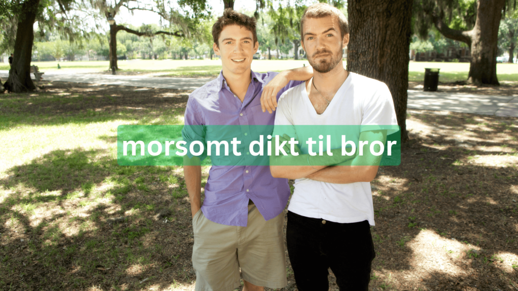 morsomt dikt til bror